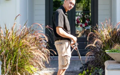 Paver Cleaning in Mesa, Arizona: Restore Your Outdoor Living Space