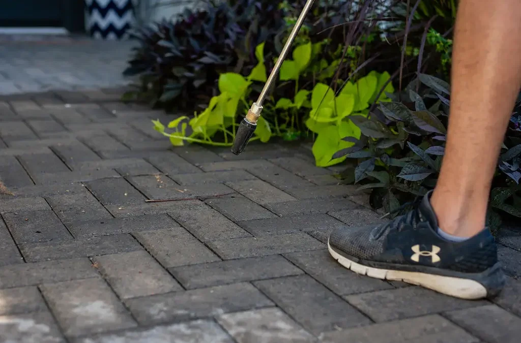 Paver Sealing in Phoenix: Before and After Results That Speak for Themselves