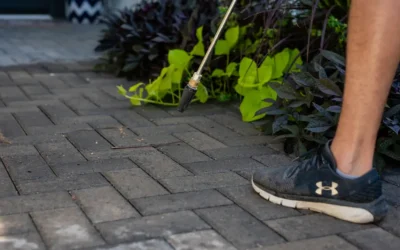 Paver Sealing in Phoenix: Before and After Results That Speak for Themselves