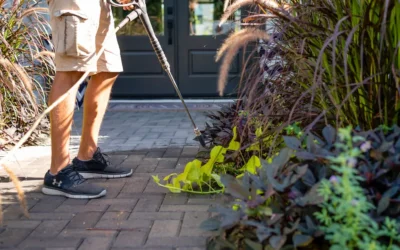 How to Prepare Your Arizona Patio for the Summer Heat (Paver Care Guide)