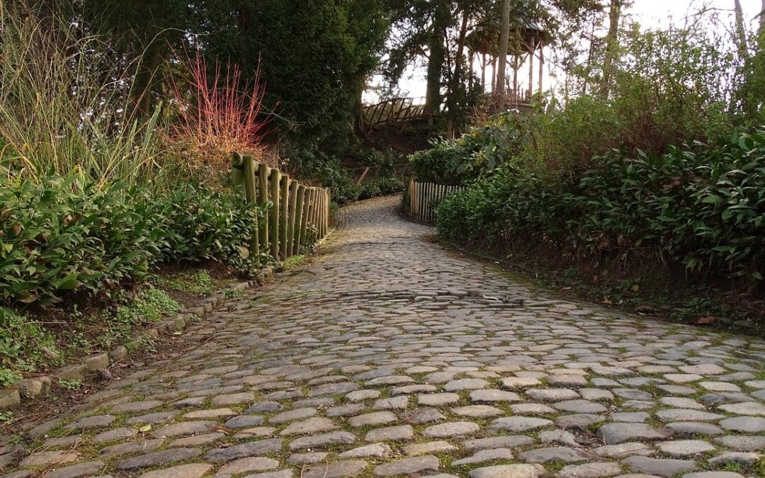 Why Pavers Get Dirty So Fast in Phoenix (And How to Fix It)