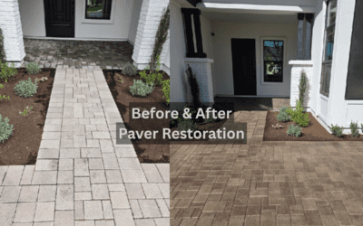 Outdoor Paver Cleaning and Sealing in Arizona: Restore and Protect Without Replacement
