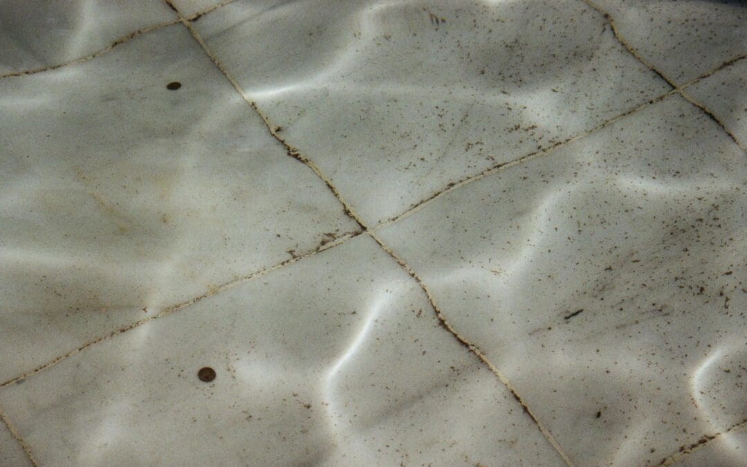 Professional Tile and Grout Cleaning in Mesa, AZ: What to Expect